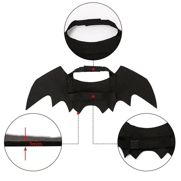 Disfraz de Murciélago para Gatos – Alas Negras para Halloween
